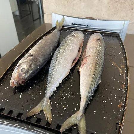 Дом отдыха Sea And Countryside, A Paradise In Cantabria